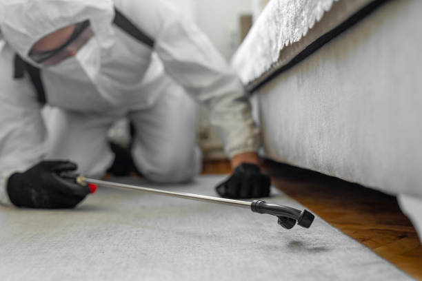 Professional Mosquito Control technician working in Morse, LA