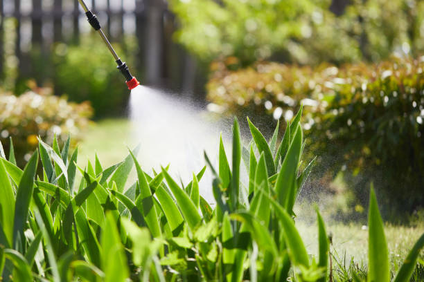 24/7 Emergency Mosquito Control experts in Morse, LA